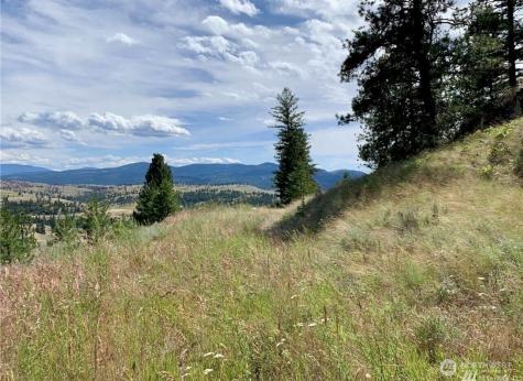0 Blue Grouse Road Oroville WA 98844