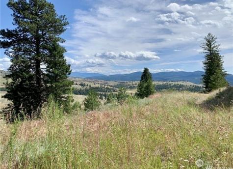 0 Blue Grouse Road Oroville WA 98844