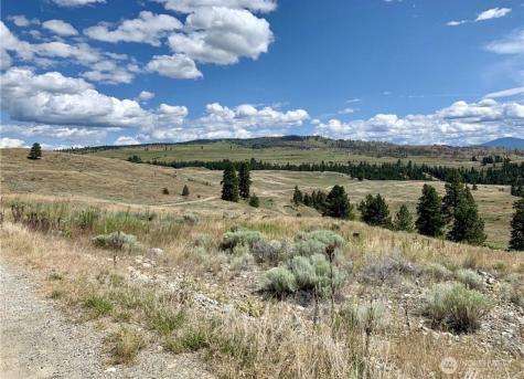 0 Blue Grouse Road Oroville WA 98844