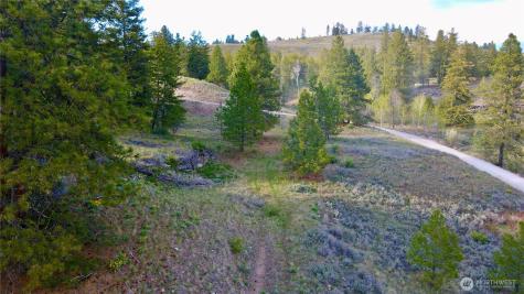0 Blue Grouse Road Oroville WA 98844