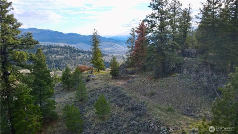 0 Blue Grouse Road Oroville WA 98844