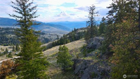 0 Blue Grouse Road Oroville WA 98844