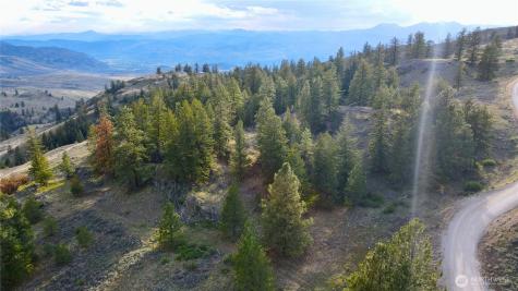 0 Blue Grouse Road Oroville WA 98844