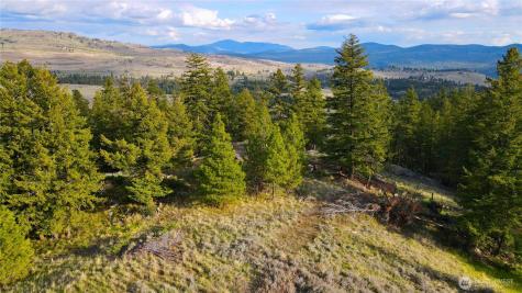 0 Blue Grouse Road Oroville WA 98844