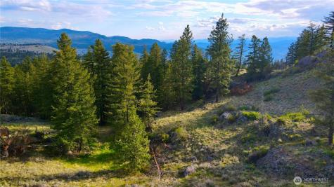 0 Blue Grouse Road Oroville WA 98844