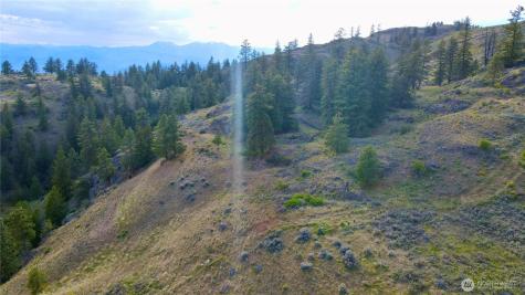 0 Blue Grouse Road Oroville WA 98844