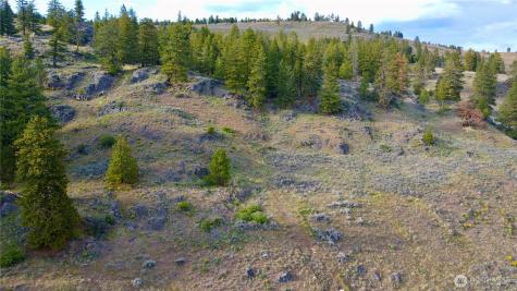 0 Blue Grouse Road Oroville WA 98844