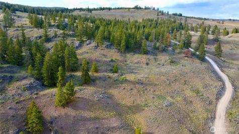 0 Blue Grouse Road Oroville WA 98844