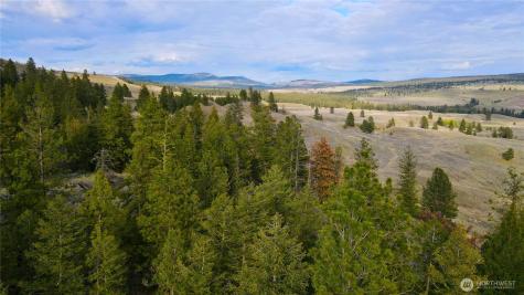 0 Blue Grouse Road Oroville WA 98844