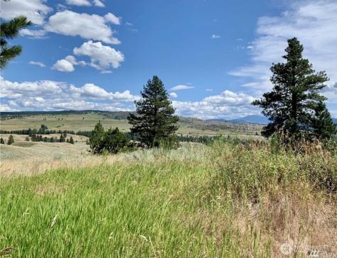 0 Blue Grouse Road Oroville WA 98844
