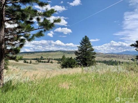 0 Blue Grouse Road Oroville WA 98844