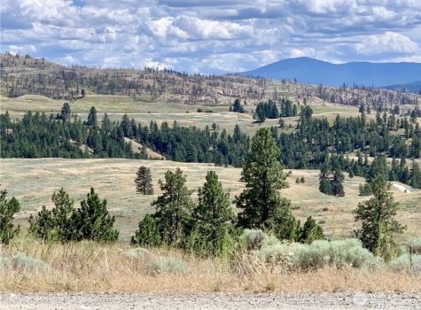 0 Blue Grouse Road Oroville WA 98844