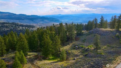 0 Blue Grouse Road Oroville WA 98844