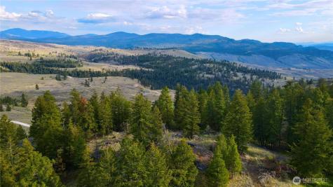 0 Blue Grouse Road Oroville WA 98844
