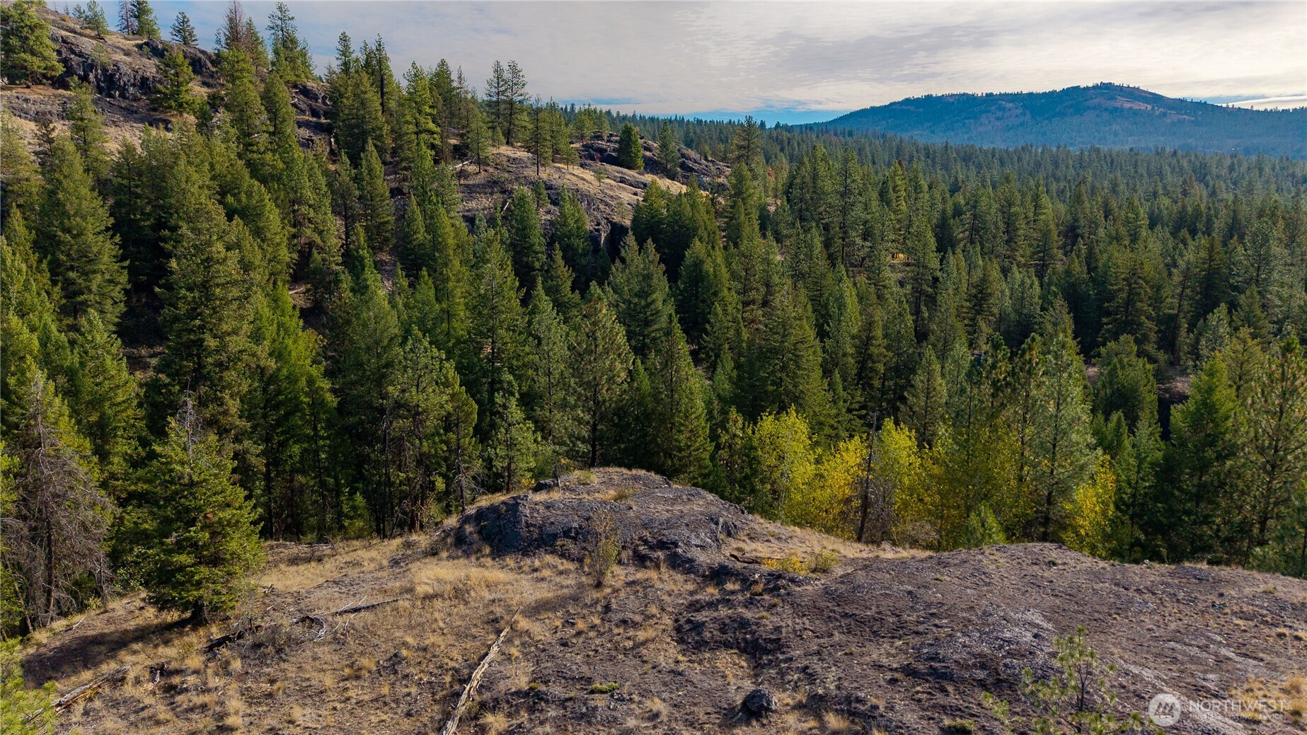 0 Eaglestone Road Tonasket WA 98855