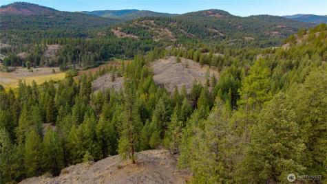 0 Eaglestone Road Tonasket WA 98855
