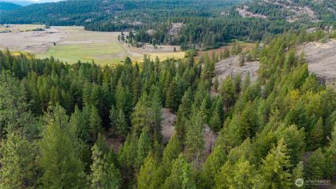 0 Eaglestone Road Tonasket WA 98855
