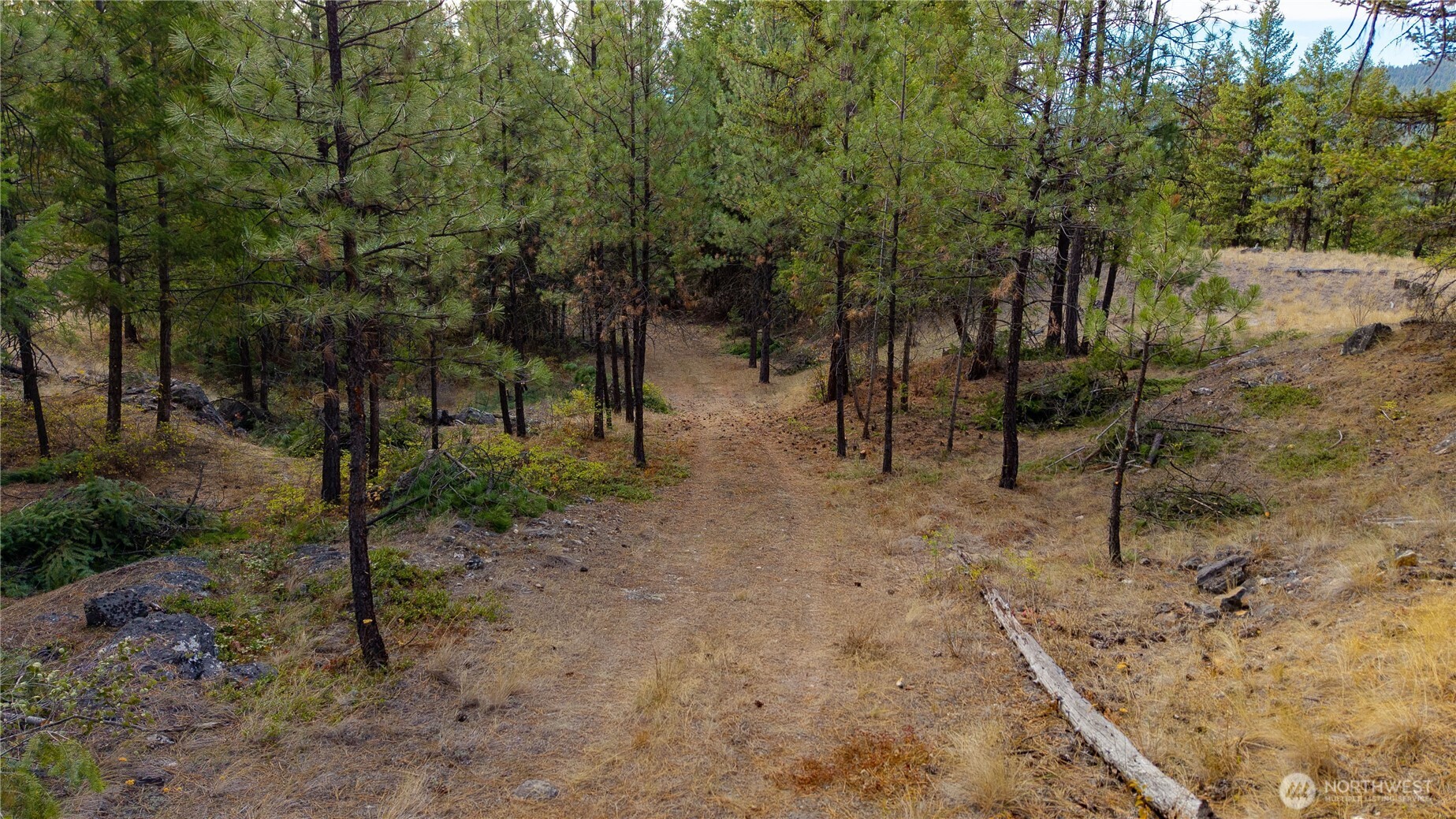 0 Eaglestone Road Tonasket WA 98855