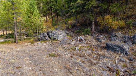 0 Eaglestone Road Tonasket WA 98855