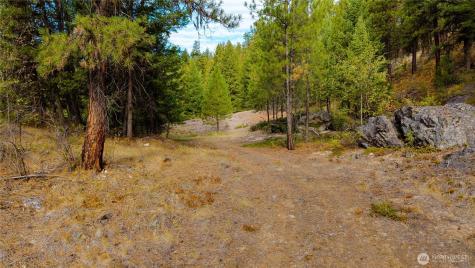 0 Eaglestone Road Tonasket WA 98855