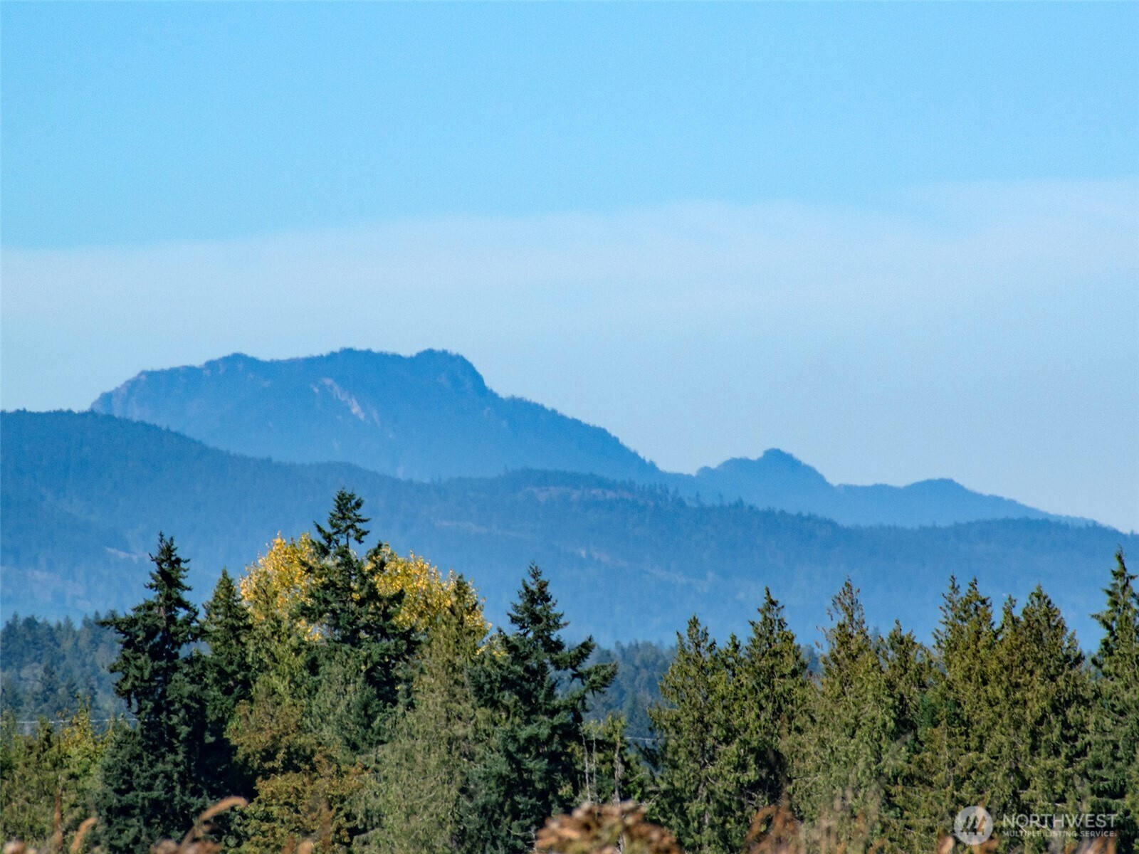463 Miller Road Sequim WA 98382