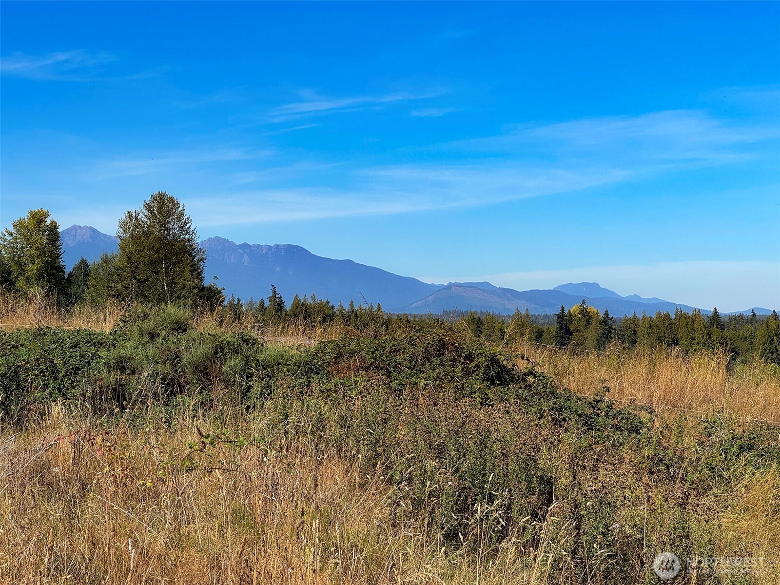 463 Miller Road Sequim WA 98382