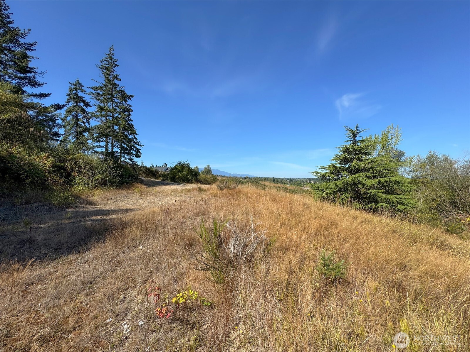 463 Miller Road Sequim WA 98382