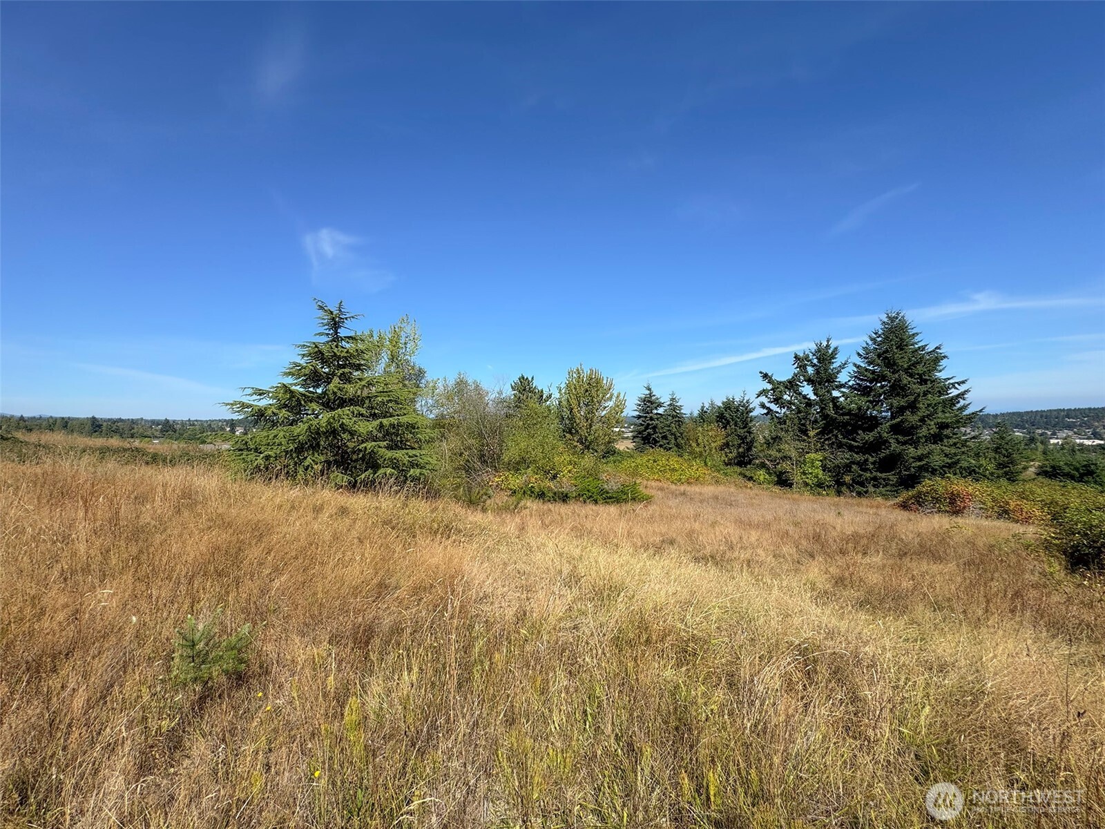463 Miller Road Sequim WA 98382