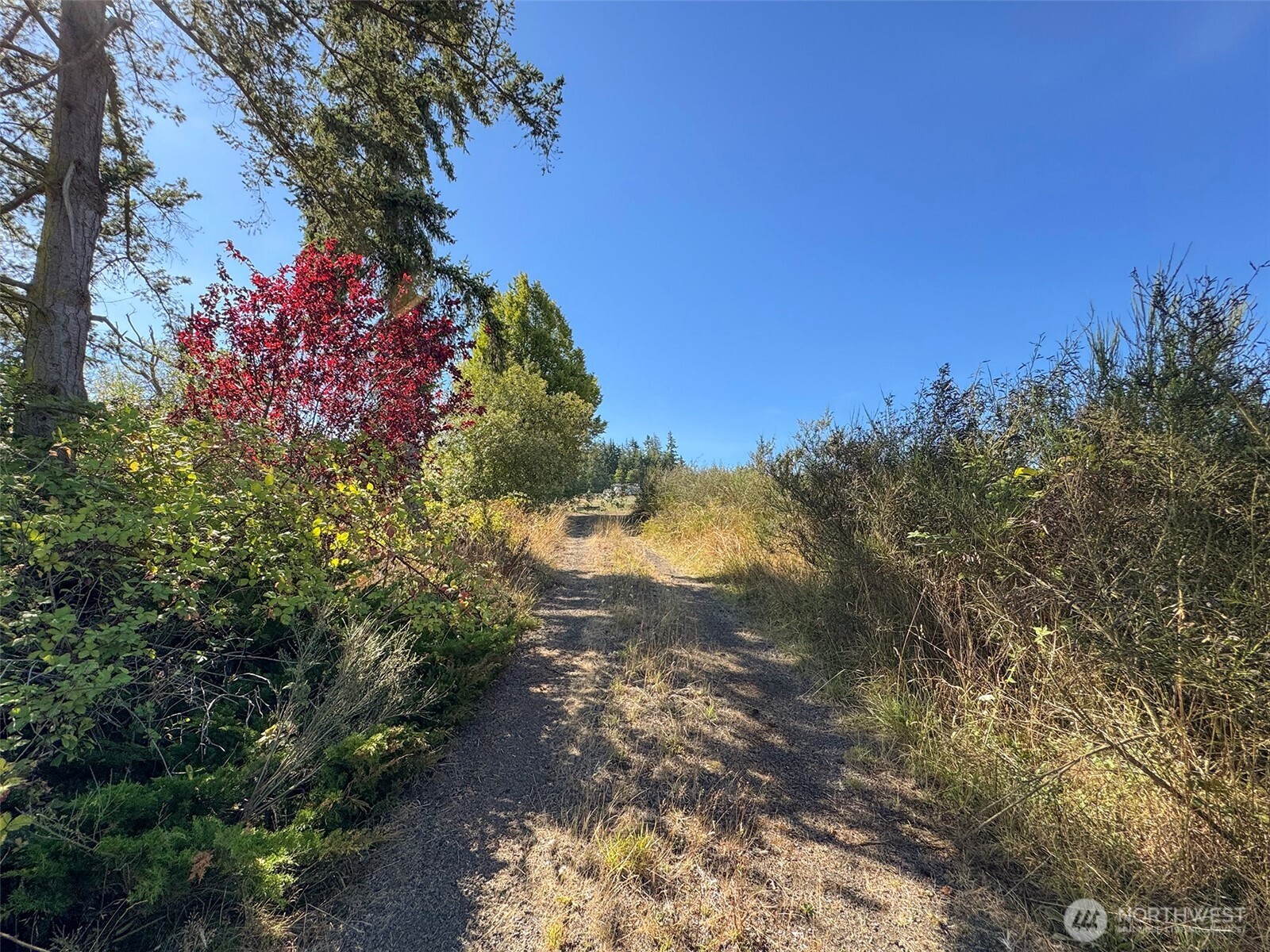 463 Miller Road Sequim WA 98382
