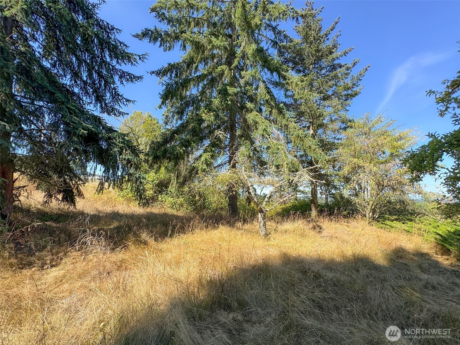 463 Miller Road Sequim WA 98382