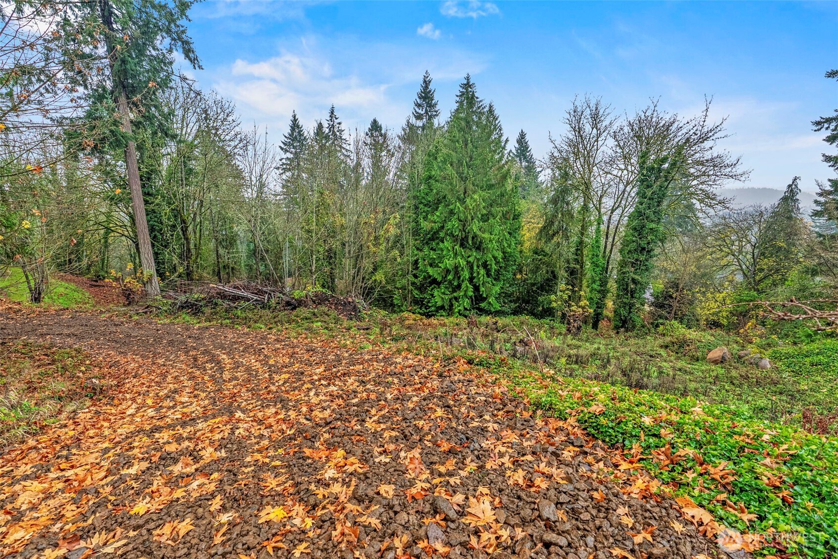 4057 Sunset Way Longview WA 98632