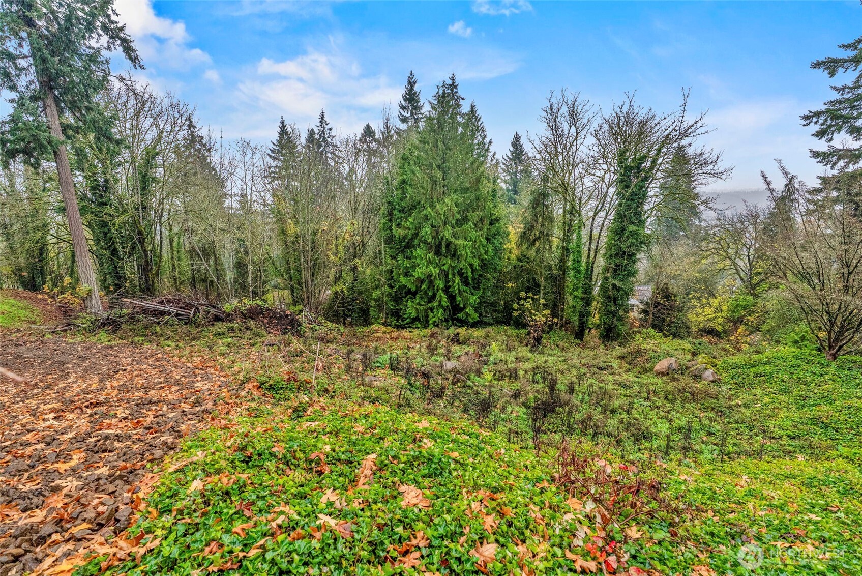 4057 Sunset Way Longview WA 98632
