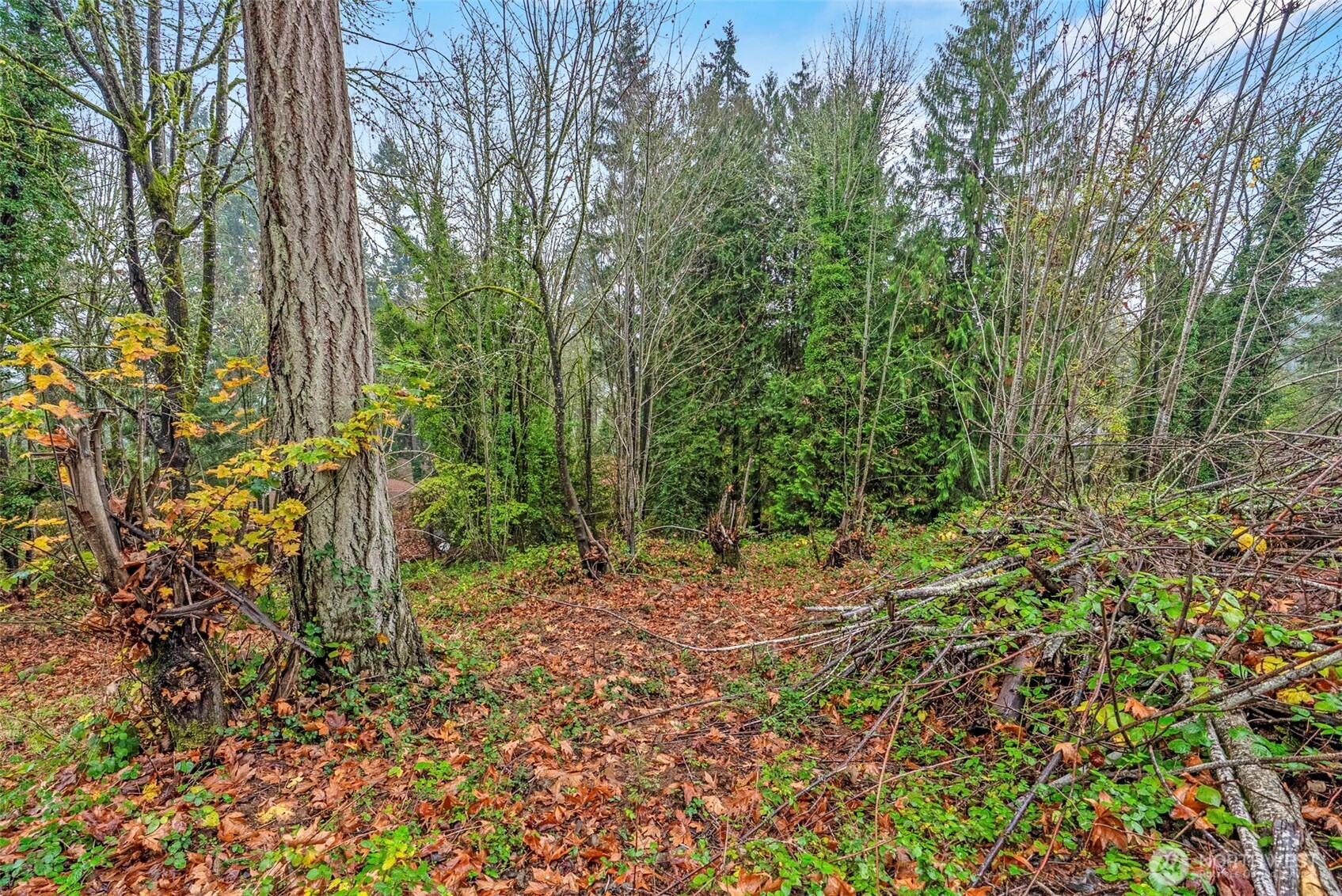4057 Sunset Way Longview WA 98632