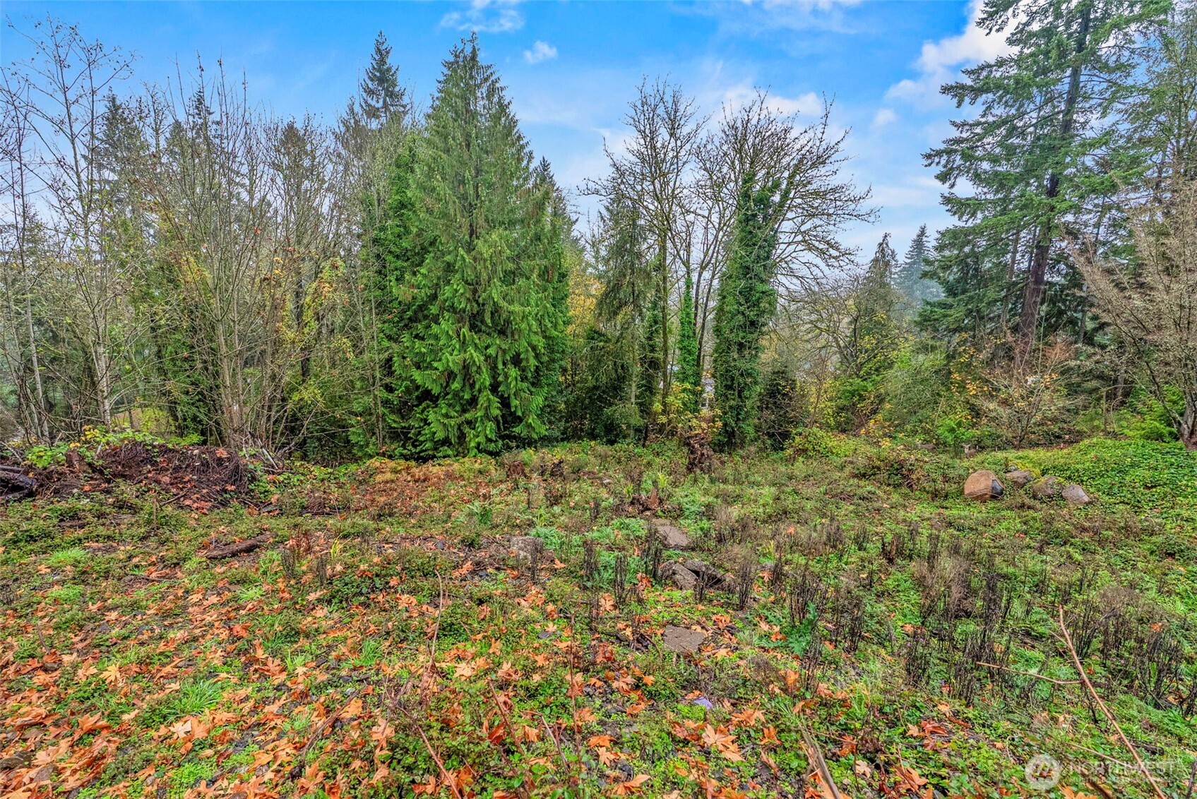 4057 Sunset Way Longview WA 98632