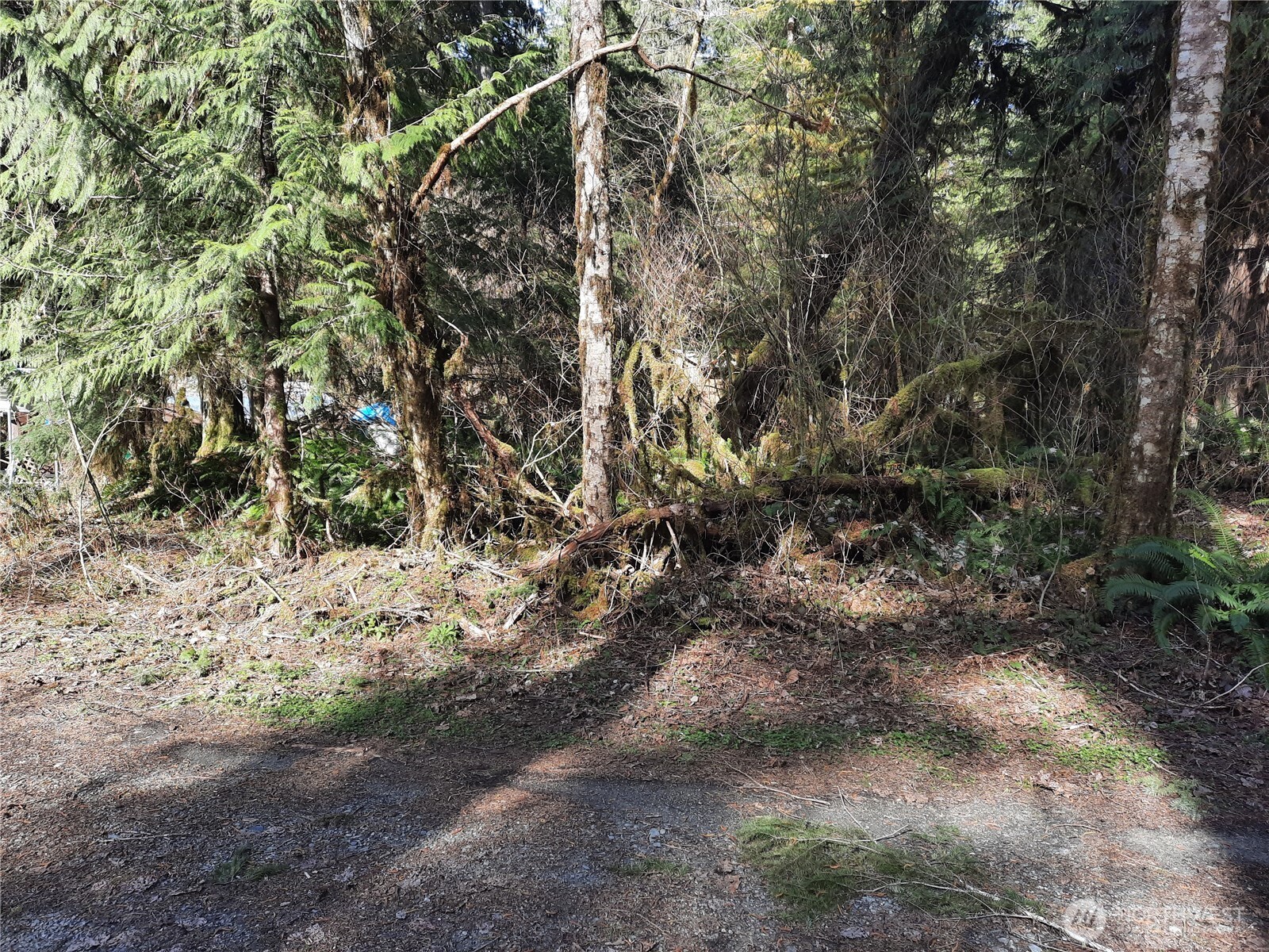 8535 Beaver Place Marblemount WA 98267