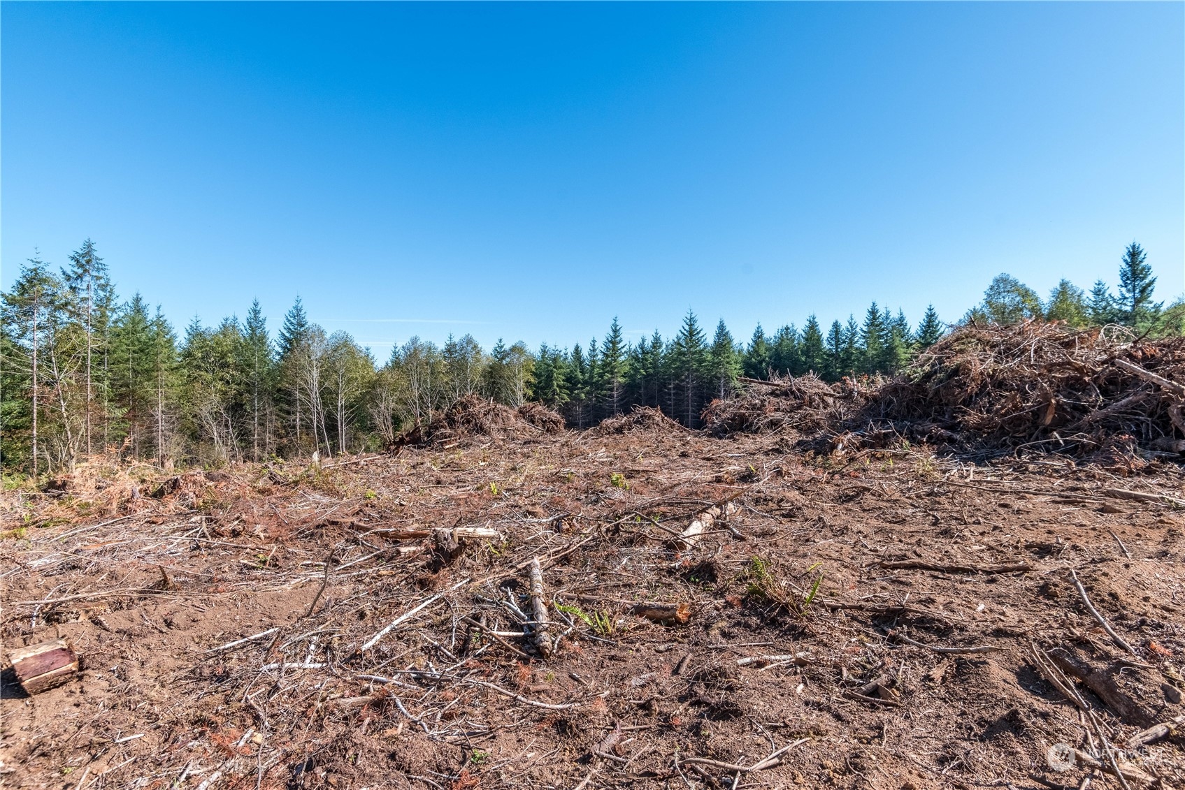 0 Orion Road Longview WA 98632