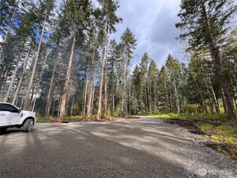 18311 Shenandoah Lane SE Yelm WA 98597