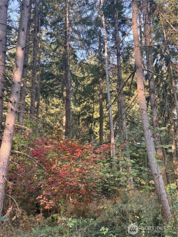 18311 Shenandoah Lane SE Yelm WA 98597