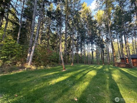 18311 Shenandoah Lane SE Yelm WA 98597
