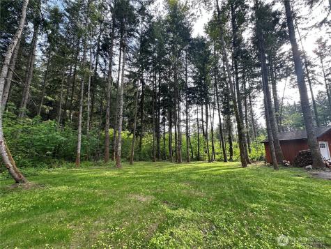 18311 Shenandoah Lane SE Yelm WA 98597