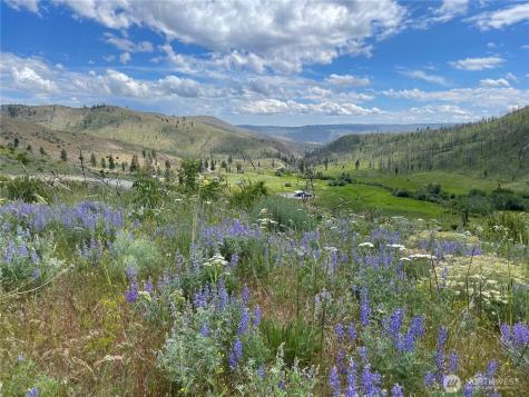436 Antoine Creek Road Chelan WA 98816