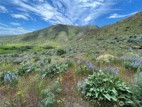 436 Antoine Creek Road Chelan WA 98816
