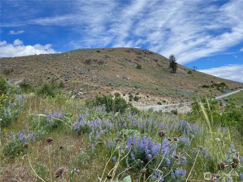436 Antoine Creek Road Chelan WA 98816