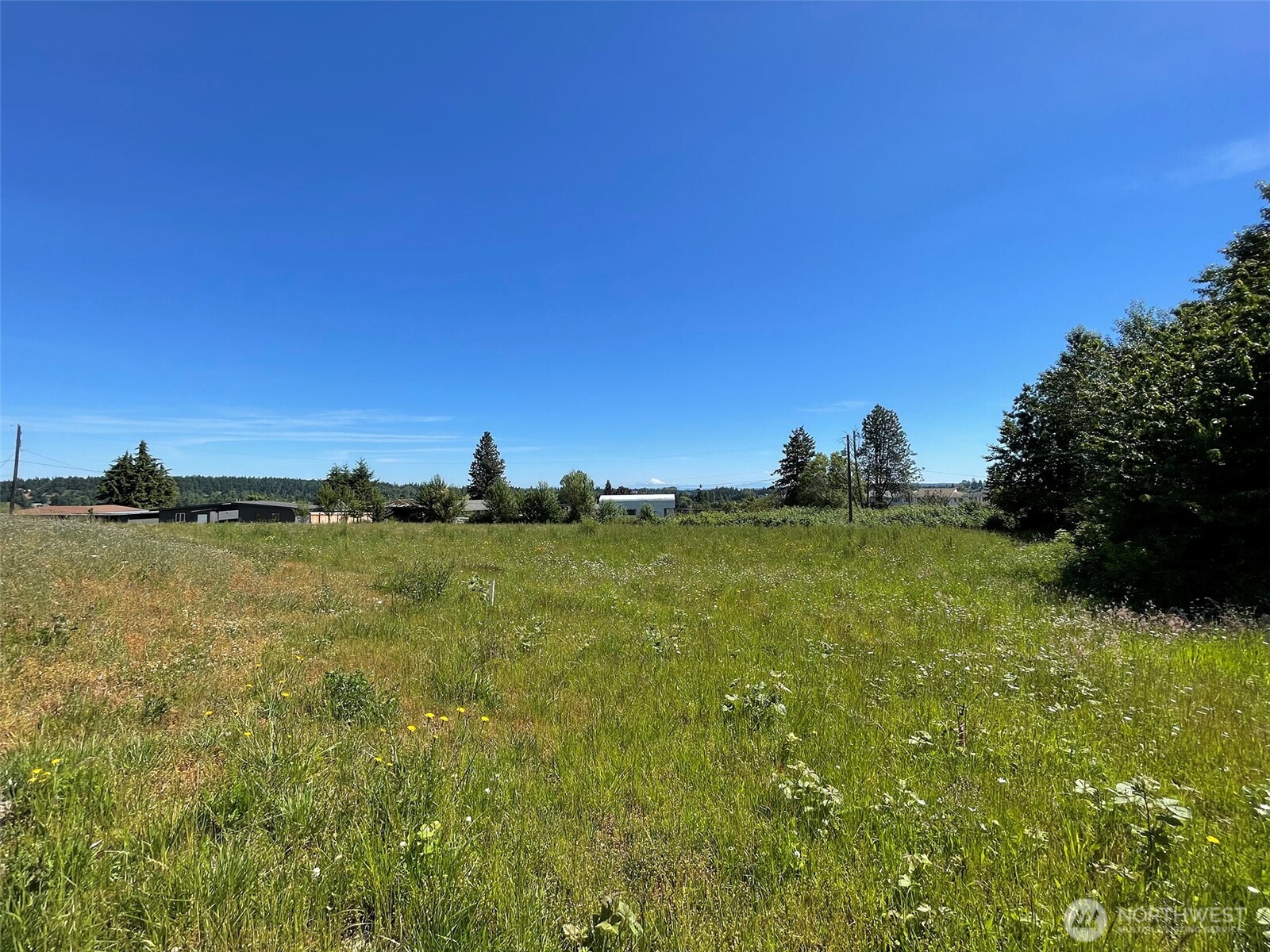 872 Still Road Sequim WA 98382