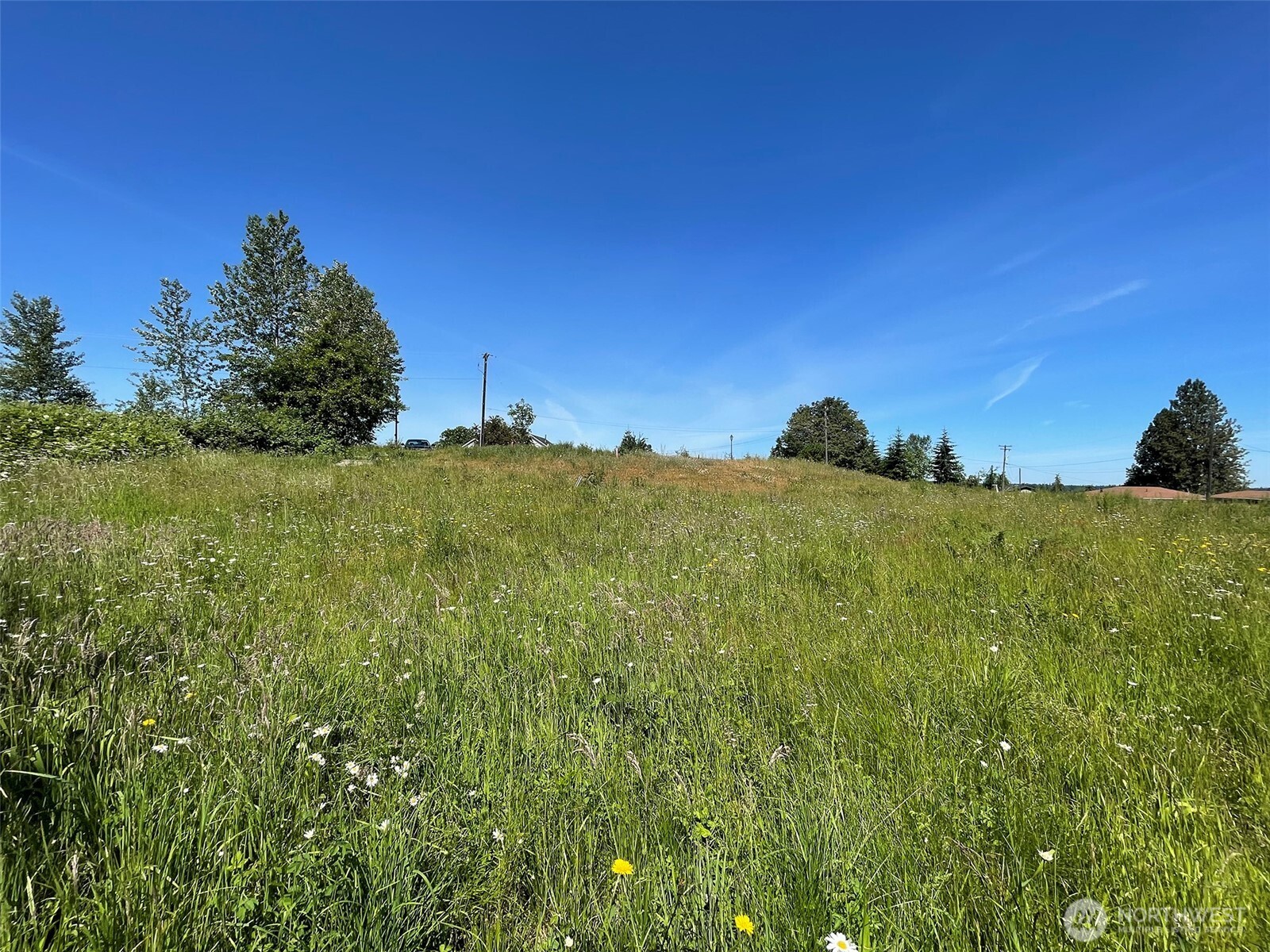 872 Still Road Sequim WA 98382