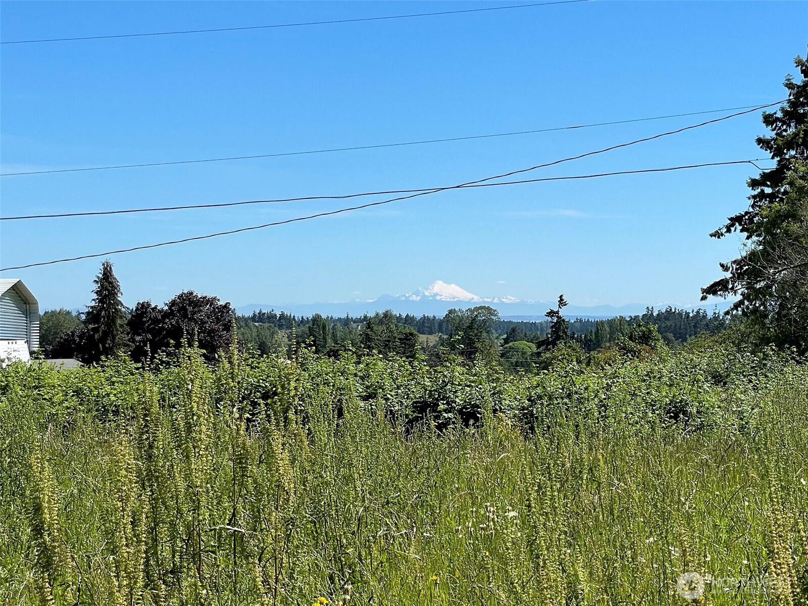 872 Still Road Sequim WA 98382