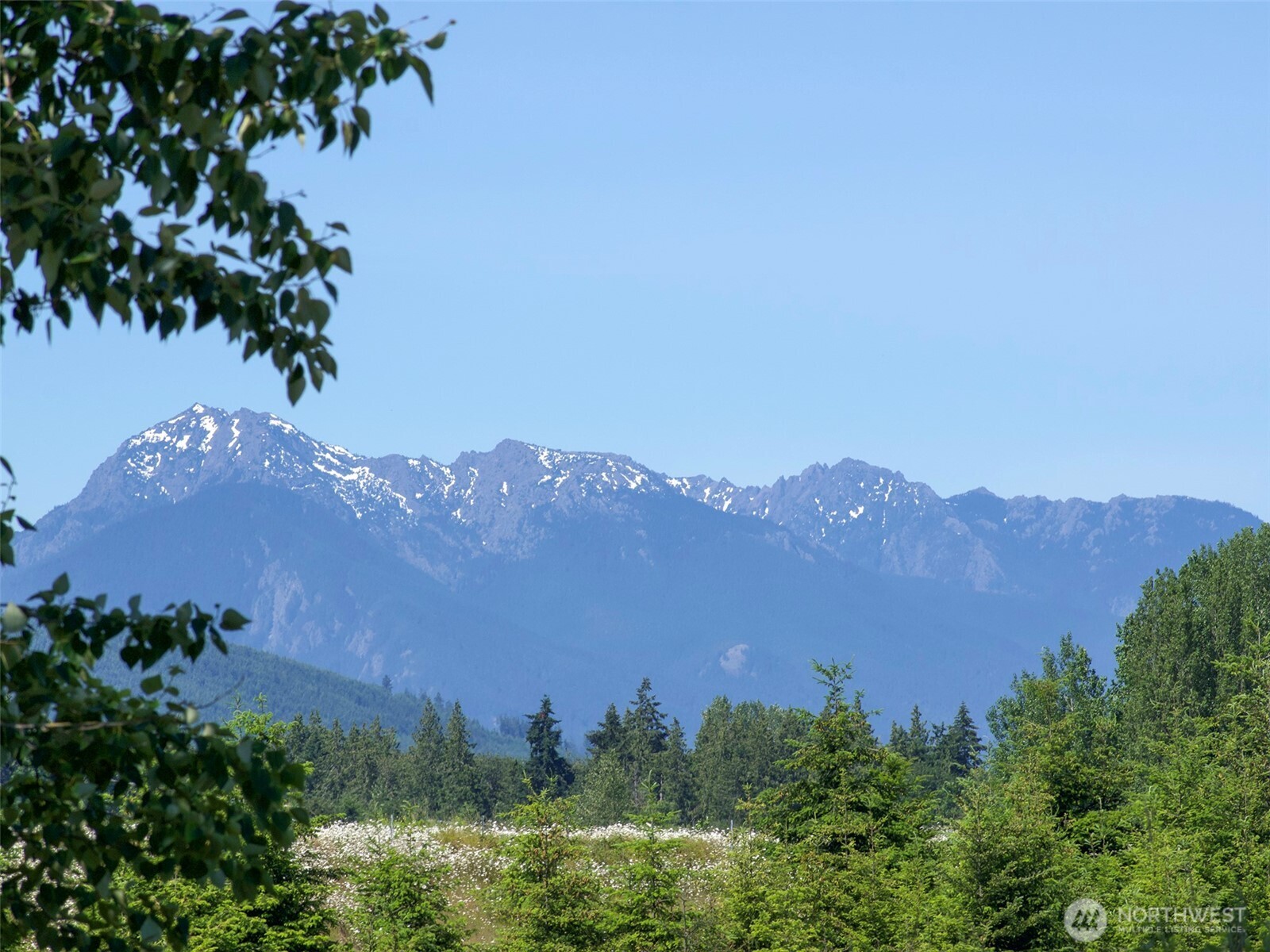 872 Still Road Sequim WA 98382