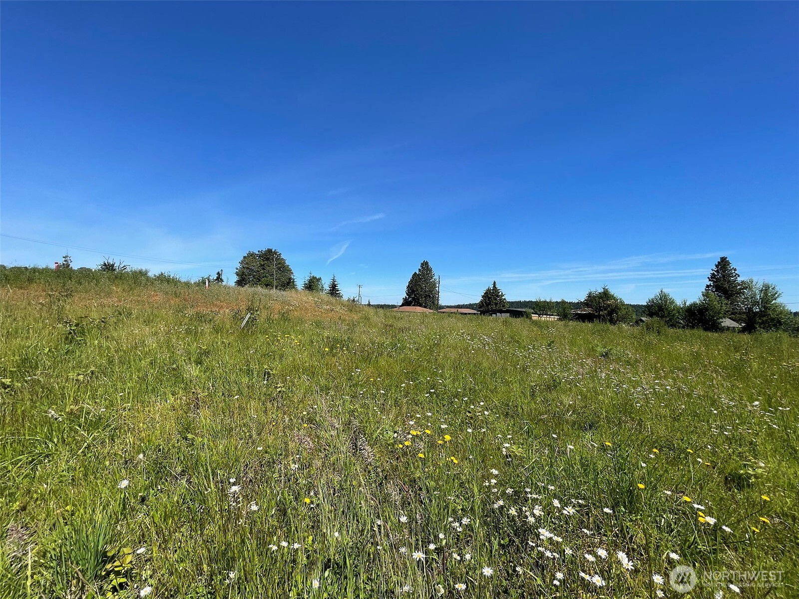 872 Still Road Sequim WA 98382