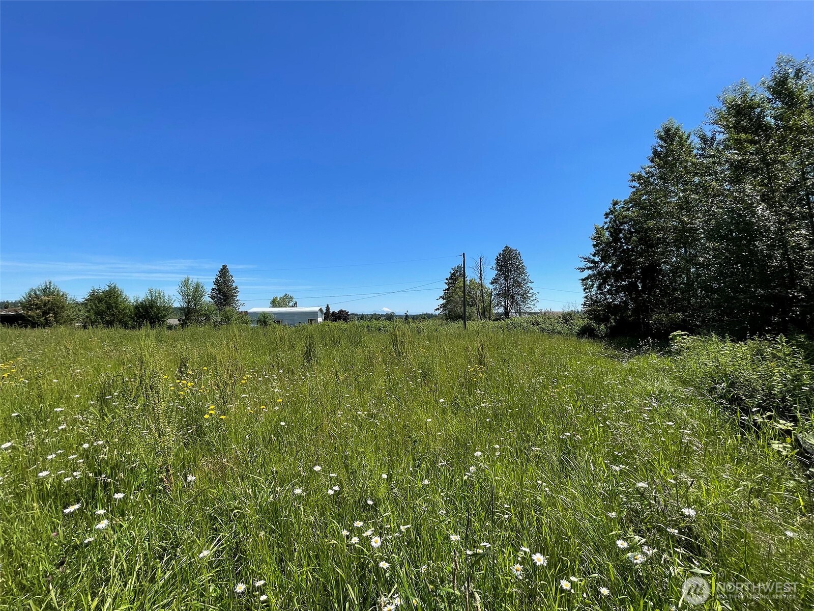 872 Still Road Sequim WA 98382