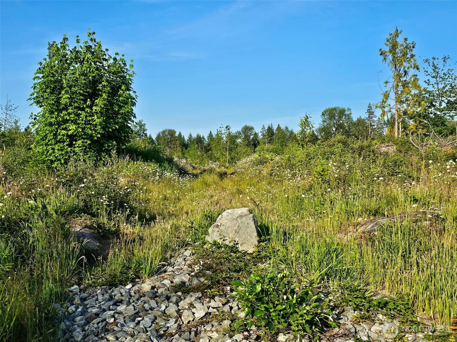 25867 150th Avenue E Graham WA 98338